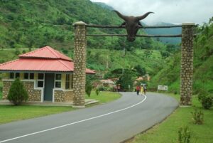 15 Interesting Facts You Should Know About Obudu Cattle Ranch