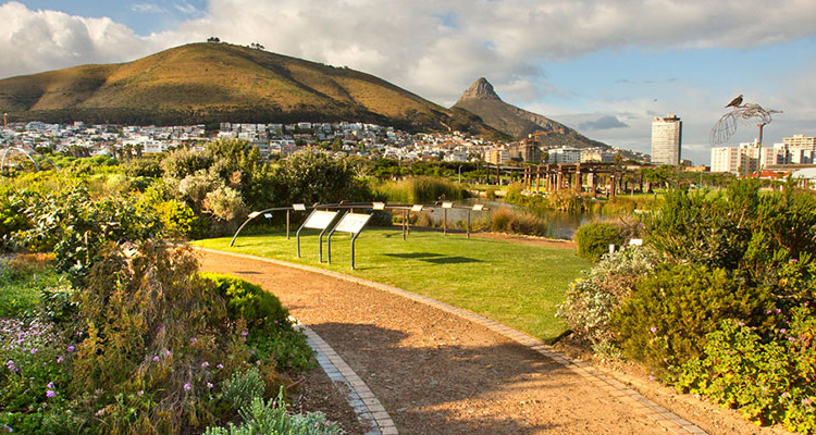 day trips from Cape Town