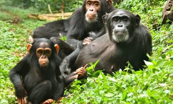 best places to visit in Uganda